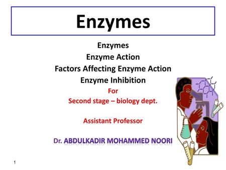 Enzymes Enzymes Enzyme Action Factors Affecting Enzyme Action