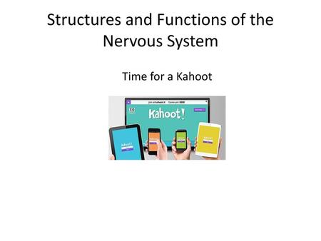 Structures and Functions of the Nervous System