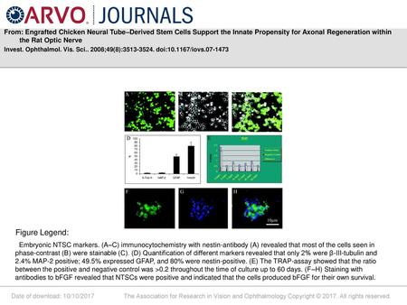 From: Engrafted Chicken Neural Tube–Derived Stem Cells Support the Innate Propensity for Axonal Regeneration within the Rat Optic Nerve Invest. Ophthalmol.