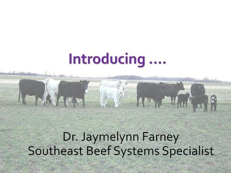 Southeast Beef Systems Specialist