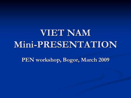 VIET NAM Mini-PRESENTATION