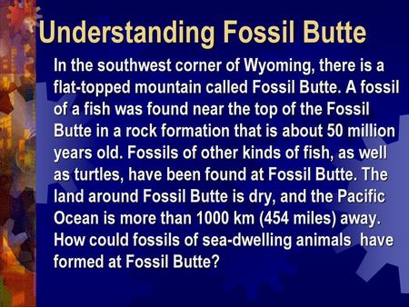 Understanding Fossil Butte