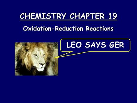 CHEMISTRY CHAPTER 19 LEO SAYS GER