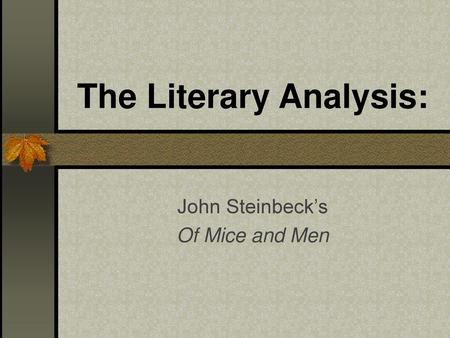 The Literary Analysis: