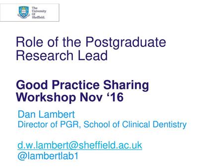 Role of the Postgraduate Research Lead