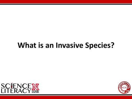 What is an Invasive Species?