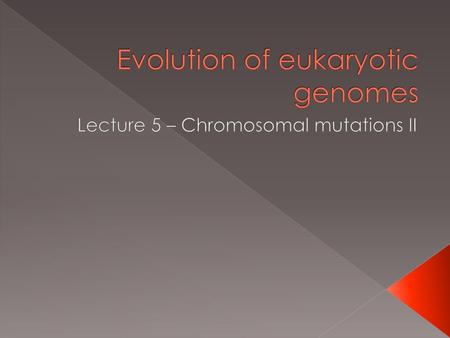 Evolution of eukaryotic genomes