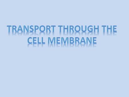 Transport through the cell membrane