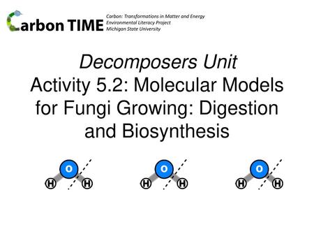 Carbon: Transformations in Matter and Energy