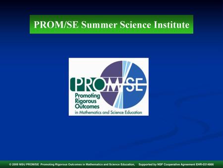 PROM/SE Summer Science Institute