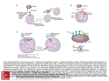 Some general features of immune responses. A