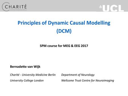 Principles of Dynamic Causal Modelling