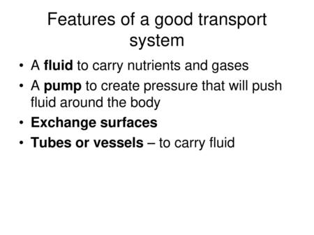 Features of a good transport system