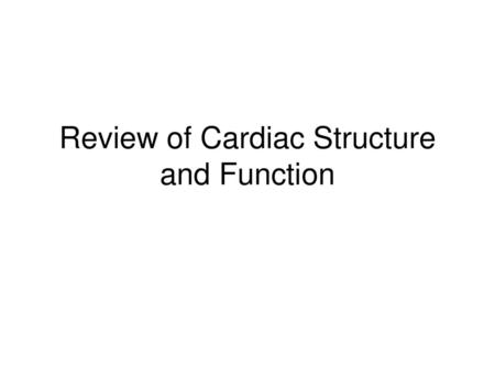 Review of Cardiac Structure and Function