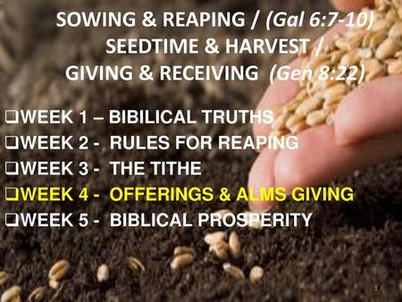 WEEK 1 – BIBILICAL TRUTHS WEEK 2 -  RULES FOR REAPING