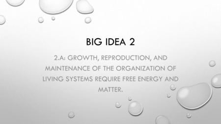 Big Idea 2 2.A: Growth, reproduction, and maintenance of the organization of living systems require free energy and matter.