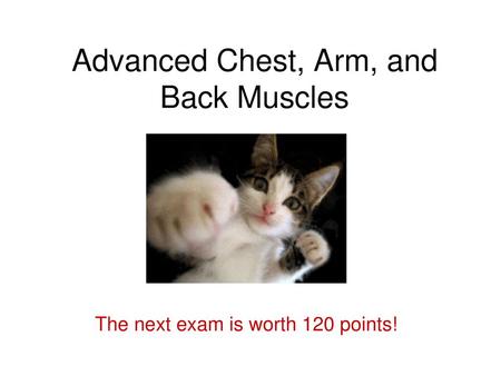 Advanced Chest, Arm, and Back Muscles