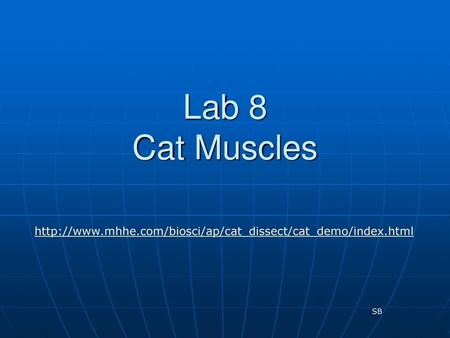 Lab 8 Cat Muscles http://www.mhhe.com/biosci/ap/cat_dissect/cat_demo/index.html SB.