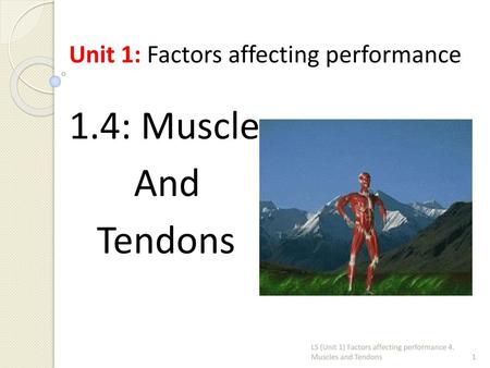 1.4: Muscles And Tendons Unit 1: Factors affecting performance