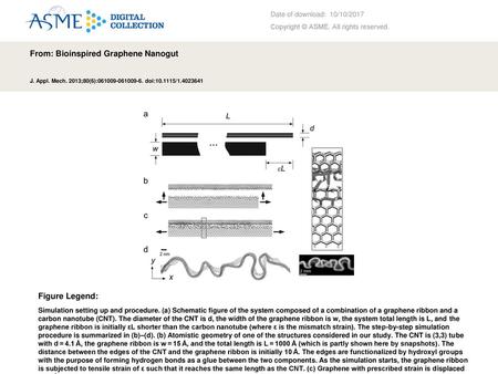 From: Bioinspired Graphene Nanogut