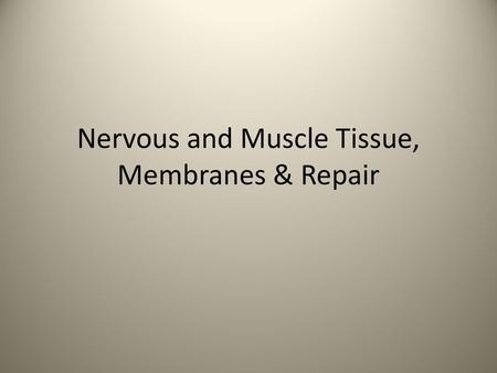 Nervous and Muscle Tissue, Membranes & Repair