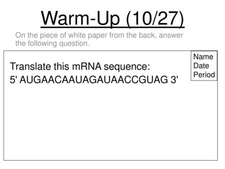 Warm-Up (10/27) Translate this mRNA sequence: