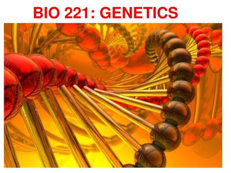 BIO 221: GENETICS.