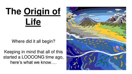 The Origin of Life Where did it all begin?