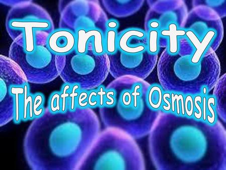 Tonicity The affects of Osmosis.