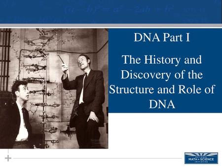 The History and Discovery of the Structure and Role of DNA