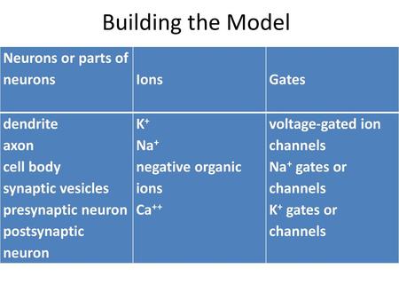 Building the Model Neurons or parts of neurons Ions Gates dendrite