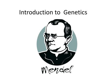 Introduction to Genetics