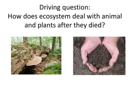 Flow chart of decomposing process