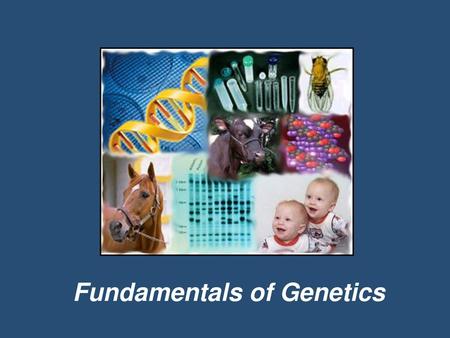 Fundamentals of Genetics