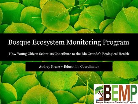 TITLE Bosque Ecosystem Monitoring Program