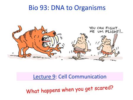 Lecture 9: Cell Communication