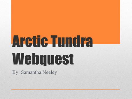 Arctic Tundra Webquest