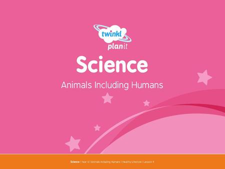 Animals Including Humans