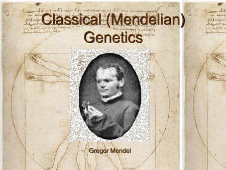 Classical (Mendelian) Genetics