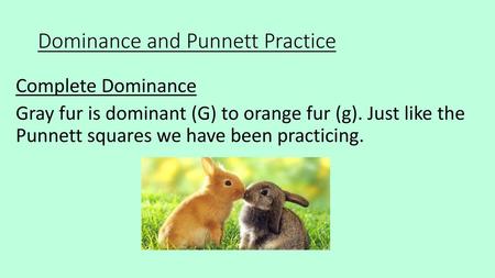 Dominance and Punnett Practice