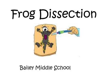 Frog Dissection Bailey Middle School.