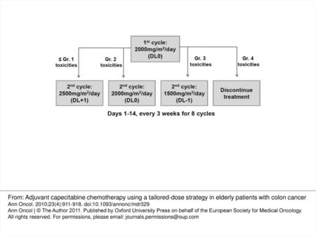 Figure 1. Dose modification scheme for the second cycle of capecitabine treatment. From: Adjuvant capecitabine chemotherapy using a tailored-dose strategy.