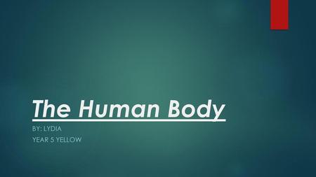 The Human Body By: Lydia Year 5 Yellow.