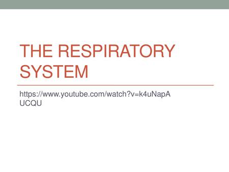 The Respiratory System