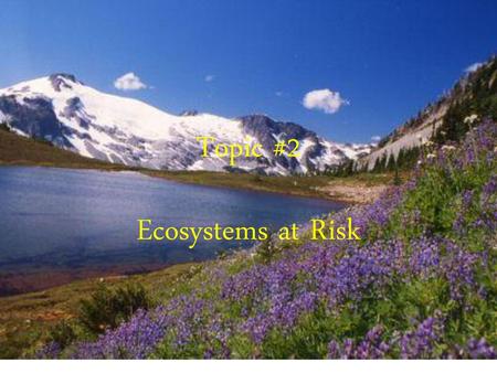 Topic #2 Ecosystems at Risk.