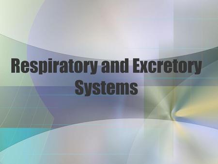 Respiratory and Excretory Systems