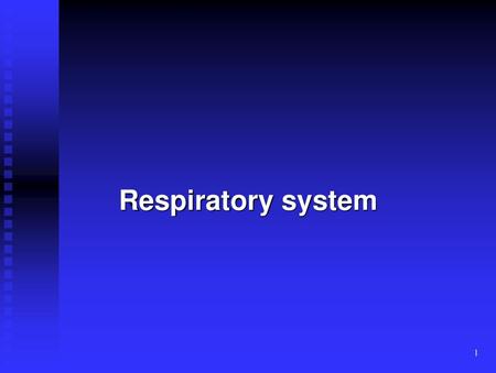 Respiratory system.