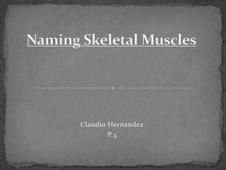 Naming Skeletal Muscles