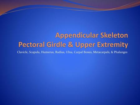 Appendicular Skeleton Pectoral Girdle & Upper Extremity