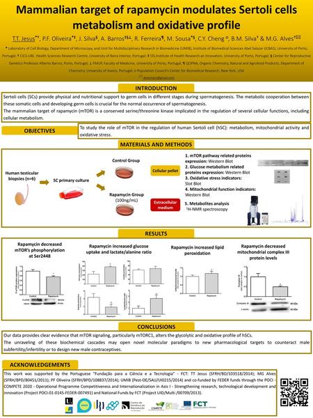 Mammalian target of rapamycin modulates Sertoli cells metabolism and oxidative profile T.T. Jesus*†, P.F. Oliveira*‡, J. Silva§, A. Barros‡§⊥, R. Ferreira¶,